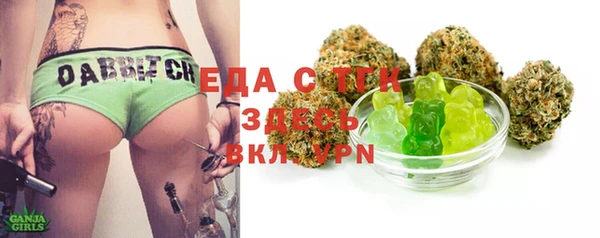 мдпв Ельня