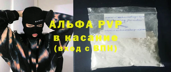 ECSTASY Алзамай