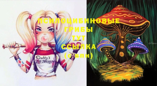 круглые Алексеевка