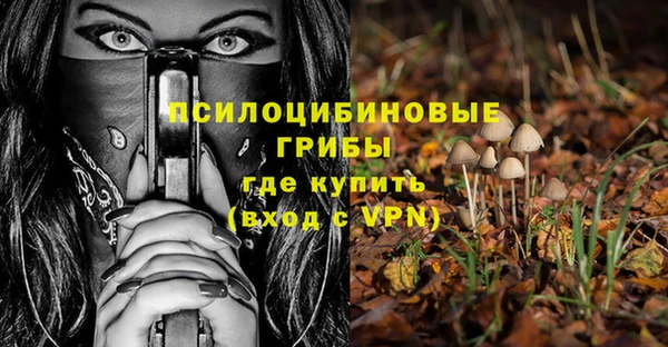 PSILOCYBIN Абинск