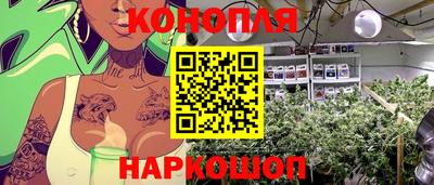 гидропоника Нальчик