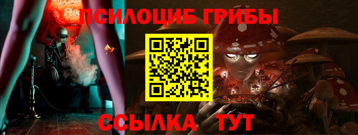 где можно купить наркотик  Вход с VPN  Новоуральск  Галлюциногенные грибы Psilocybine cubensis 